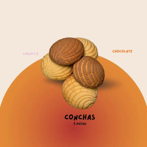 Cinco conchas de cobertura clara y oscura sobre un fondo naranja