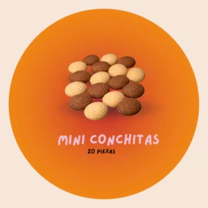 Grupo de mini conchas de cobertura clara y oscura sobre un fondo naranja