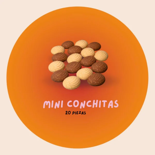 Grupo de mini conchas de cobertura clara y oscura sobre un fondo naranja